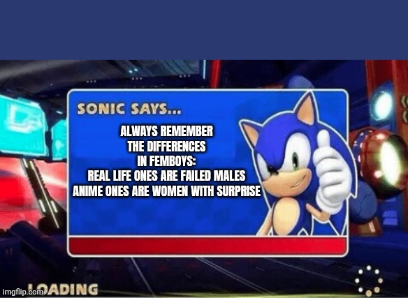 Anime femboys aren't gay, I swear | ALWAYS REMEMBER THE DIFFERENCES IN FEMBOYS:
REAL LIFE ONES ARE FAILED MALES

ANIME ONES ARE WOMEN WITH SURPRISE | image tagged in sonic says,sonic the hedgehog,femboy | made w/ Imgflip meme maker