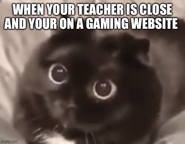 I saw this on a gif btw but it’s not a repost | WHEN YOUR TEACHER IS CLOSE AND YOUR ON A GAMING WEBSITE | image tagged in oh no | made w/ Imgflip meme maker