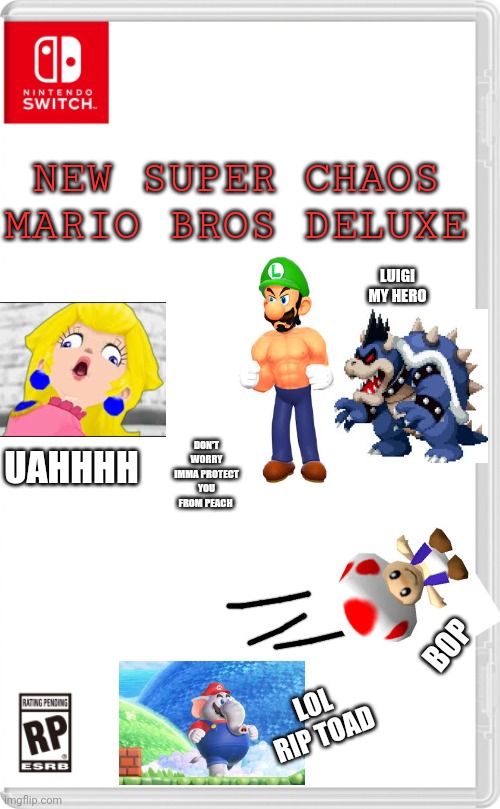 Chaos | NEW SUPER CHAOS MARIO BROS DELUXE; LUIGI MY HERO; DON'T WORRY IMMA PROTECT YOU FROM PEACH; UAHHHH; BOP; LOL RIP TOAD | image tagged in nintendo switch cartridge case,memes,fake,chaos | made w/ Imgflip meme maker