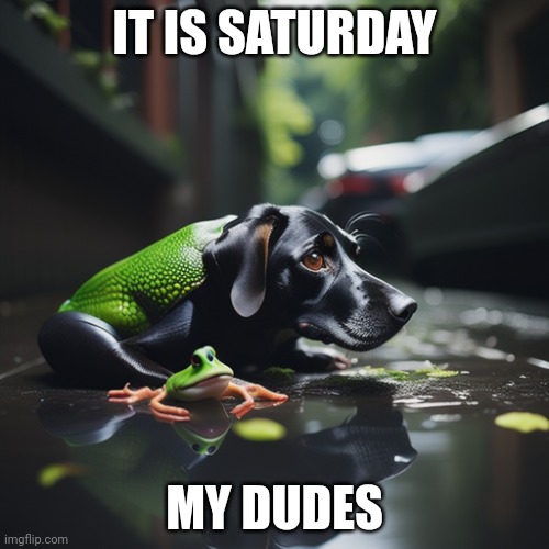 Day 4 of frog combinations | IT IS SATURDAY; MY DUDES | image tagged in it is wednesday my dudes | made w/ Imgflip meme maker