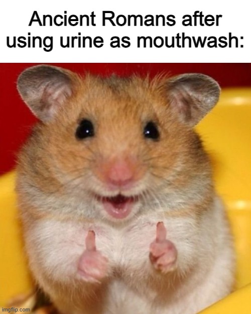That's straight up WRONG, MESSED UP, and GROSS T-T | Ancient Romans after using urine as mouthwash: | image tagged in two thumbs up | made w/ Imgflip meme maker