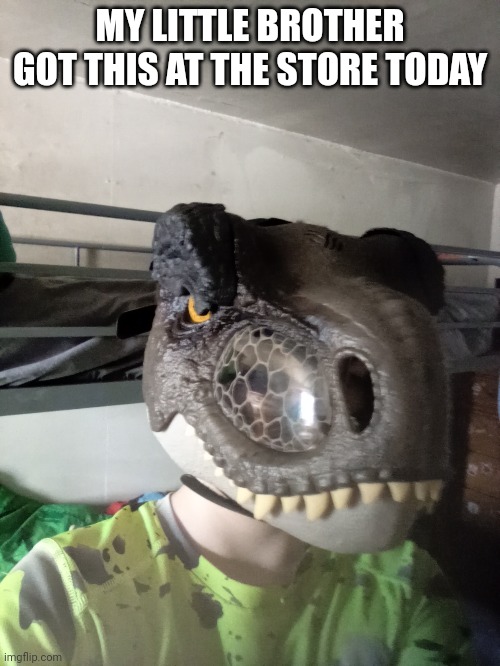 MY LITTLE BROTHER GOT THIS AT THE STORE TODAY | image tagged in dinosaur | made w/ Imgflip meme maker