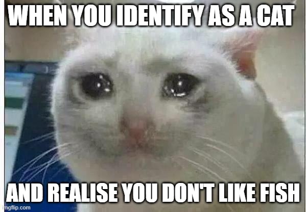 crying cat | WHEN YOU IDENTIFY AS A CAT; AND REALISE YOU DON'T LIKE FISH | image tagged in crying cat | made w/ Imgflip meme maker