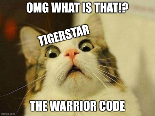 Tigerstar | OMG WHAT IS THAT!? TIGERSTAR; THE WARRIOR CODE | image tagged in memes,warrior cats | made w/ Imgflip meme maker