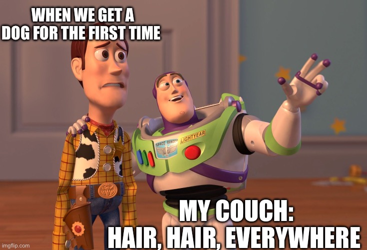 Dogs | WHEN WE GET A DOG FOR THE FIRST TIME; MY COUCH:
HAIR, HAIR, EVERYWHERE | image tagged in memes,x x everywhere | made w/ Imgflip meme maker