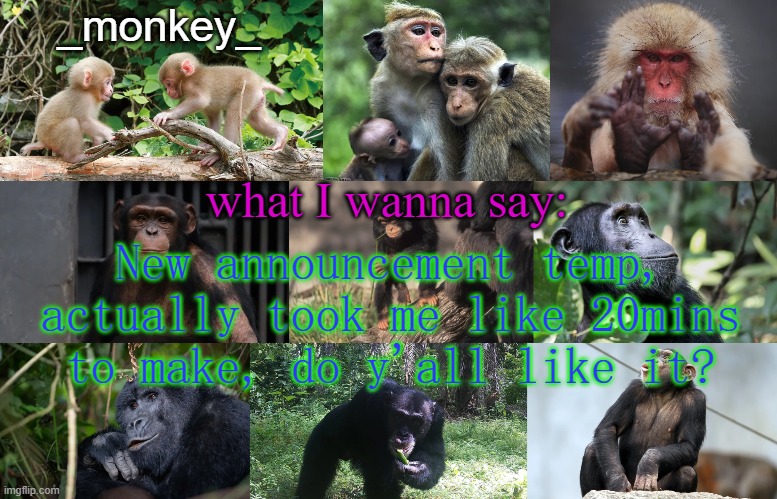 _Monkey_ Announcement temp | New announcement temp, actually took me like 20mins to make, do y'all like it? | image tagged in _monkey_ announcement temp | made w/ Imgflip meme maker