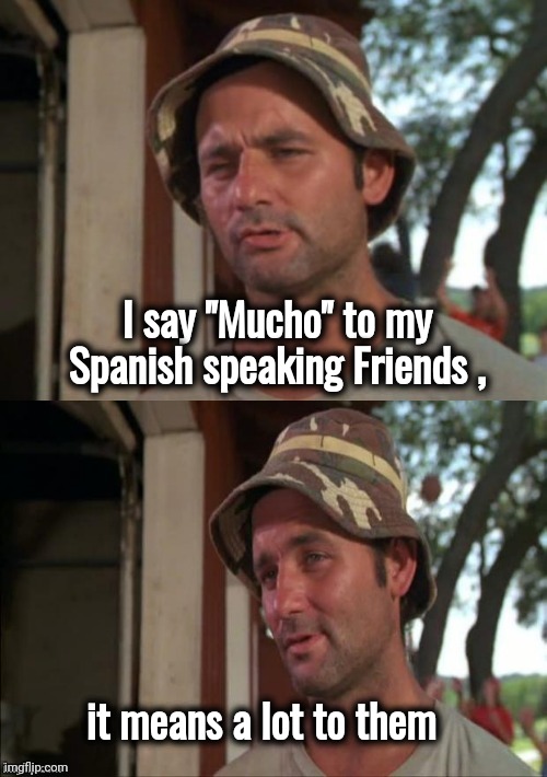 Language Barrier broken | I say "Mucho" to my Spanish speaking Friends , it means a lot to them | image tagged in bill murray bad joke,espanol,hola amigo,mucho primo,cousin | made w/ Imgflip meme maker