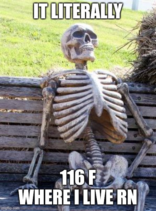 Waiting Skeleton | IT LITERALLY; 116 F WHERE I LIVE RN | image tagged in memes,waiting skeleton | made w/ Imgflip meme maker