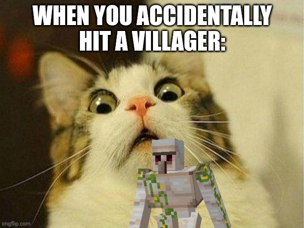 WHEN YOU ACCIDENTALLY HIT A VILLAGER: | made w/ Imgflip meme maker