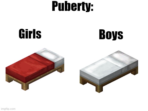 One start bleeding and one start peeing mayonnaise | Puberty:; Boys; Girls | image tagged in puberty,legens,girls,boys | made w/ Imgflip meme maker