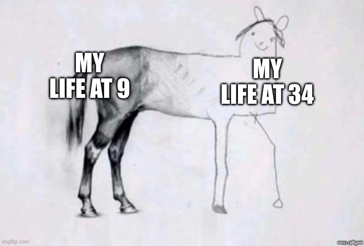 Horse Drawing | MY LIFE AT 9; MY LIFE AT 34 | image tagged in horse drawing | made w/ Imgflip meme maker