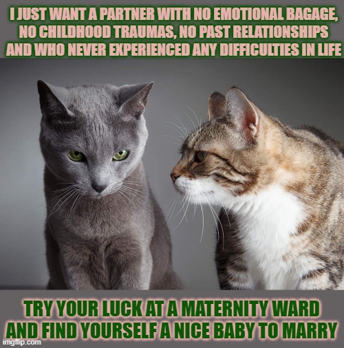 This #lolcat wonders why people set their standards too high | I JUST WANT A PARTNER WITH NO EMOTIONAL BAGAGE,
NO CHILDHOOD TRAUMAS, NO PAST RELATIONSHIPS
AND WHO NEVER EXPERIENCED ANY DIFFICULTIES IN LIFE; TRY YOUR LUCK AT A MATERNITY WARD
AND FIND YOURSELF A NICE BABY TO MARRY | image tagged in relationships,lolcat,think about it | made w/ Imgflip meme maker