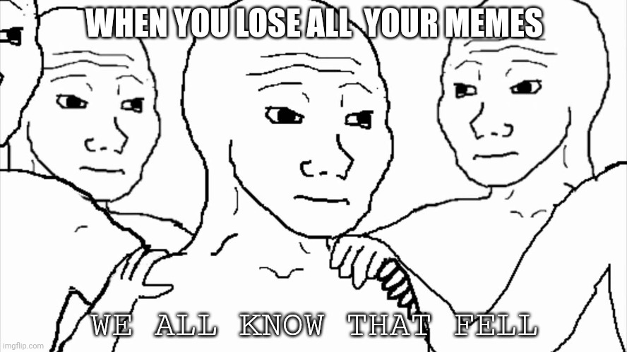We all know that feel | WHEN YOU LOSE ALL  YOUR MEMES; WE ALL KNOW THAT FELL | image tagged in we all know that feel | made w/ Imgflip meme maker