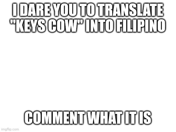 Hehe | I DARE YOU TO TRANSLATE "KEYS COW" INTO FILIPINO; COMMENT WHAT IT IS | image tagged in blank white template,google translate | made w/ Imgflip meme maker