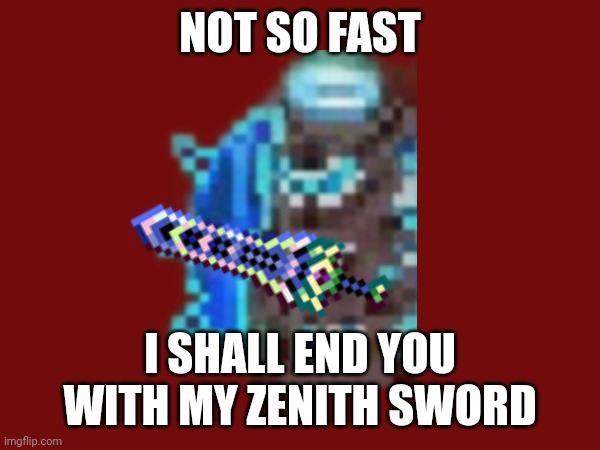 NOT SO FAST I SHALL END YOU WITH MY ZENITH SWORD | made w/ Imgflip meme maker