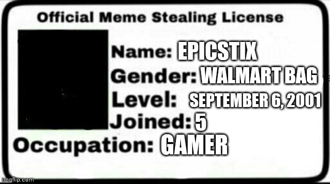 Meme Stealing License | EPICSTIX; WALMART BAG; SEPTEMBER 6, 2001; 5; GAMER | image tagged in meme stealing license | made w/ Imgflip meme maker