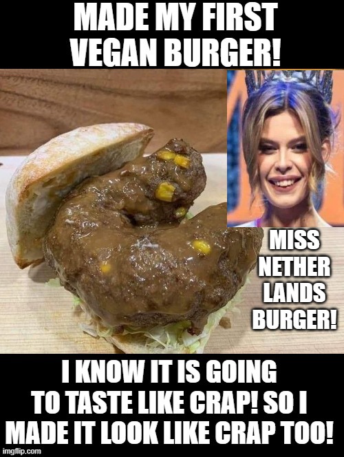 Miss Netherlands Burger | MISS NETHER LANDS BURGER! | image tagged in vegan logic,disgusting,crap | made w/ Imgflip meme maker