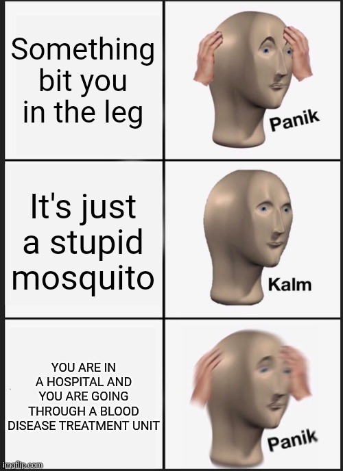 Panik Kalm Panik Meme | Something bit you in the leg; It's just a stupid mosquito; YOU ARE IN A HOSPITAL AND YOU ARE GOING THROUGH A BLOOD DISEASE TREATMENT UNIT | image tagged in memes,panik kalm panik,mosquito | made w/ Imgflip meme maker