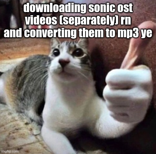 cat thumbs up | downloading sonic ost videos (separately) rn and converting them to mp3 ye | image tagged in cat thumbs up | made w/ Imgflip meme maker