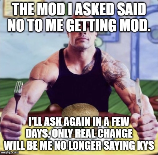 Post shit | THE MOD I ASKED SAID NO TO ME GETTING MOD. I'LL ASK AGAIN IN A FEW DAYS. ONLY REAL CHANGE WILL BE ME NO LONGER SAYING KYS | image tagged in post shit | made w/ Imgflip meme maker