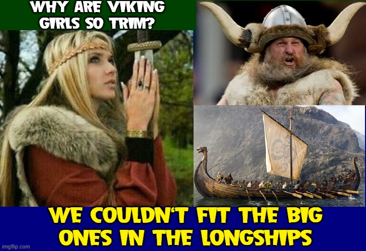 Vikings Don't Discriminate... but they are practical. | WHY ARE VIKING
GIRLS SO TRIM? WE COULDN'T FIT THE BIG
ONES IN THE LONGSHIPS | image tagged in vince vance,vikings,memes,long,boats,girls | made w/ Imgflip meme maker