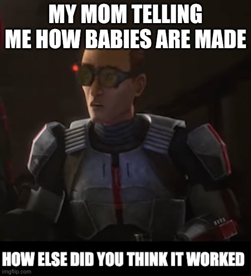 how else did you think it worked | MY MOM TELLING ME HOW BABIES ARE MADE | image tagged in how else did you think it worked | made w/ Imgflip meme maker