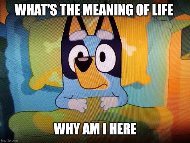 Bluey in bed | WHAT'S THE MEANING OF LIFE; WHY AM I HERE | image tagged in bluey in bed | made w/ Imgflip meme maker