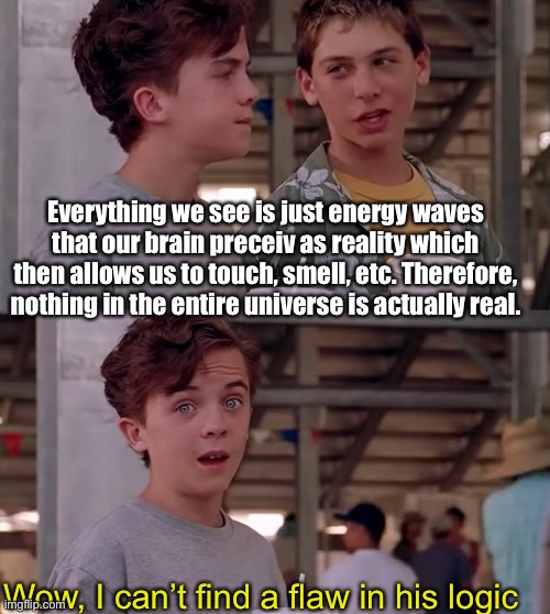 Just had to get this off my mind (*perceives) | Everything we see is just energy waves that our brain perceives as reality which then allows us to touch, smell, etc. Therefore, nothing in the entire universe is actually real. Wow, I can’t find a flaw in his logic | image tagged in wow i can't find a flaw in his logic | made w/ Imgflip meme maker