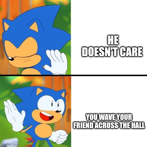 Sonic Mania  | HE DOESN'T CARE; YOU WAVE YOUR  FRIEND ACROSS THE HALL | image tagged in sonic mania | made w/ Imgflip meme maker