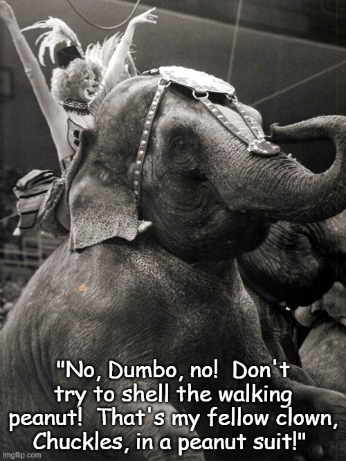 Dumbo Chuckles Peter Peanut | "No, Dumbo, no!  Don't try to shell the walking peanut!  That's my fellow clown, Chuckles, in a peanut suit!" | image tagged in chuckles the clown,peter peanut,elephant,clown on elephant,mary tyler moore | made w/ Imgflip meme maker
