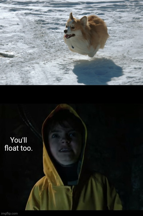 Dog float optical illusion | You'll float too. | image tagged in you'll float too,dog,float,optical illusion,dogs,memes | made w/ Imgflip meme maker