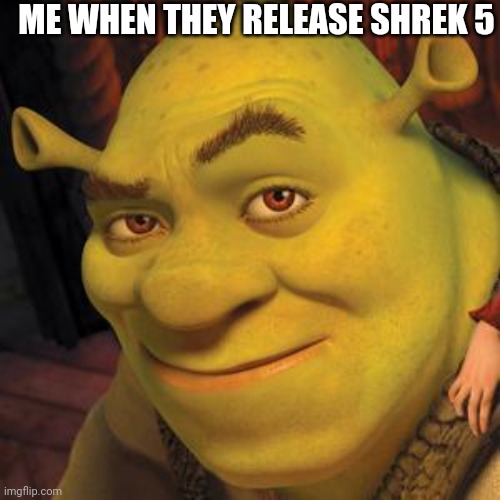 It's official: Shrek 5 is happening! | ME WHEN THEY RELEASE SHREK 5 | image tagged in shrek 5 confirmed,shrek,dank,mlg,shrek 5,dank memes | made w/ Imgflip meme maker