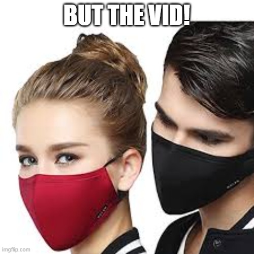 Mask Couple | BUT THE VID! | image tagged in mask couple | made w/ Imgflip meme maker