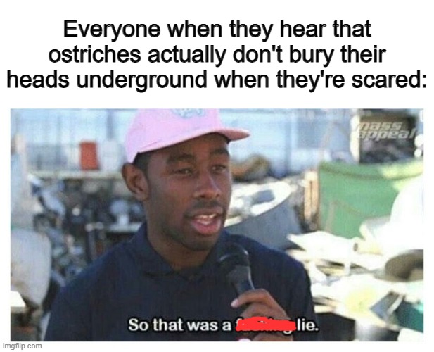 It's just a myth, according to Google :1 | Everyone when they hear that ostriches actually don't bury their heads underground when they're scared: | image tagged in so that was a f---ing lie | made w/ Imgflip meme maker