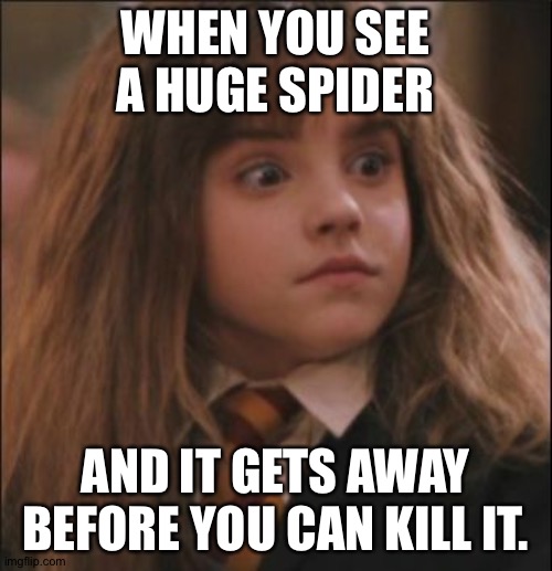 the face you make when someone says they hate harry potter | WHEN YOU SEE A HUGE SPIDER; AND IT GETS AWAY BEFORE YOU CAN KILL IT. | image tagged in the face you make when someone says they hate harry potter | made w/ Imgflip meme maker