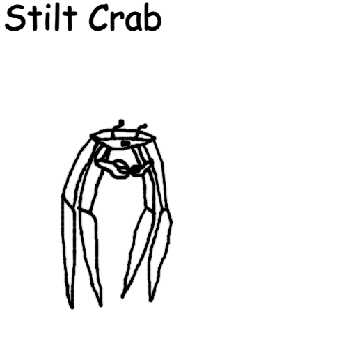 Stilt Crab Blank Meme Template