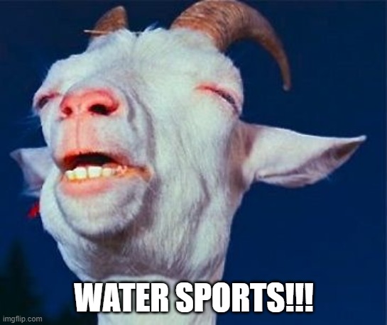 Orgasm goat | WATER SPORTS!!! | image tagged in orgasm goat | made w/ Imgflip meme maker