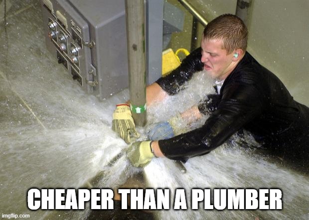 Plumber | CHEAPER THAN A PLUMBER | image tagged in plumber | made w/ Imgflip meme maker