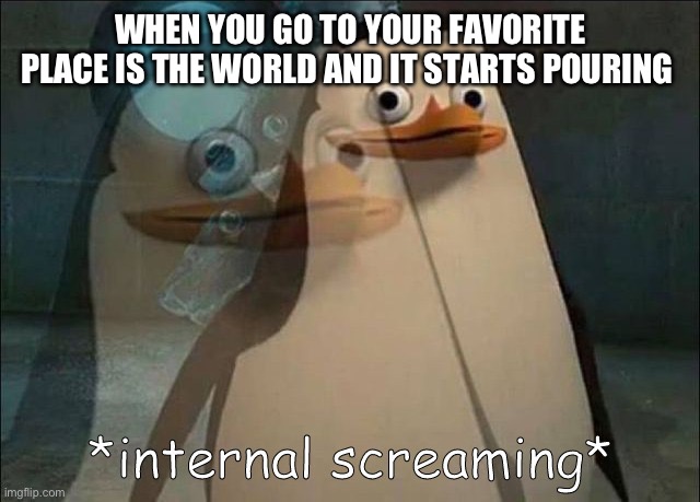 Private Internal Screaming | WHEN YOU GO TO YOUR FAVORITE PLACE IS THE WORLD AND IT STARTS POURING | image tagged in private internal screaming | made w/ Imgflip meme maker