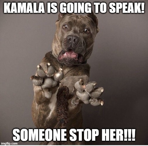 Oh No!!! | KAMALA IS GOING TO SPEAK! SOMEONE STOP HER!!! | image tagged in sarcastic dog | made w/ Imgflip meme maker