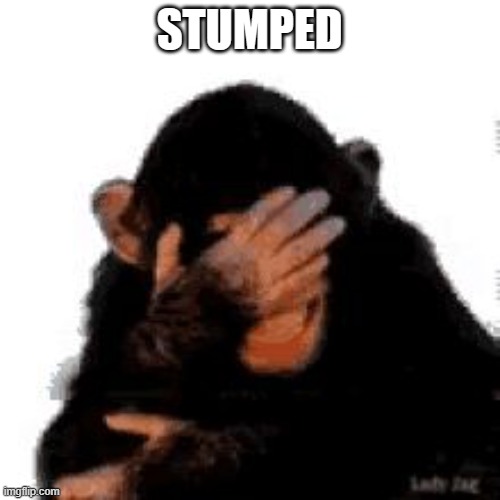 STUMPED | image tagged in they think the cat did it | made w/ Imgflip meme maker