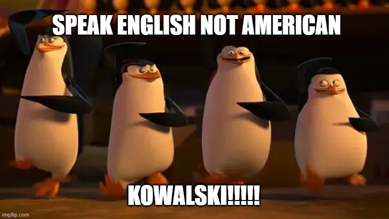 SPEAK ENGLISH NOT AMERICAN KOWALSKI!!!!! | image tagged in penguins of madagascar | made w/ Imgflip meme maker