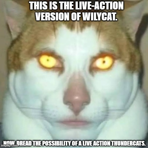 A live action version of The Aristocrats however, would be hilarious. | THIS IS THE LIVE-ACTION VERSION OF WILYCAT. NOW, DREAD THE POSSIBILITY OF A LIVE ACTION THUNDERCATS. | image tagged in sigma cat,live action monstrocity,wilycat | made w/ Imgflip meme maker