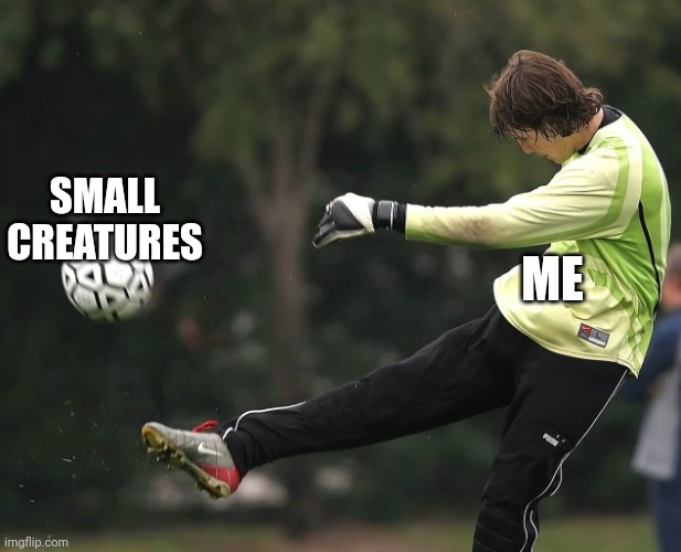Man Punting a Ball | SMALL CREATURES ME | image tagged in man punting a ball | made w/ Imgflip meme maker