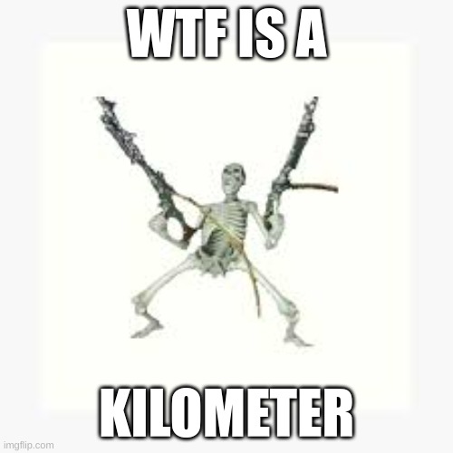 Fr Tho | WTF IS A; KILOMETER | image tagged in memes,funny,blank white template,fun | made w/ Imgflip meme maker