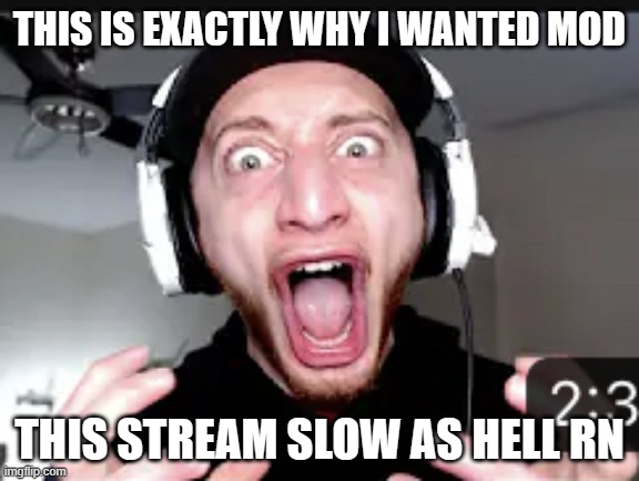 THE HELL?! | THIS IS EXACTLY WHY I WANTED MOD; THIS STREAM SLOW AS HELL RN | image tagged in the hell | made w/ Imgflip meme maker