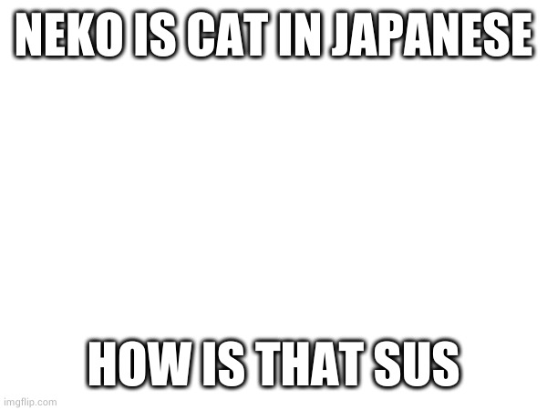 NEKO IS CAT IN JAPANESE; HOW IS THAT SUS | made w/ Imgflip meme maker