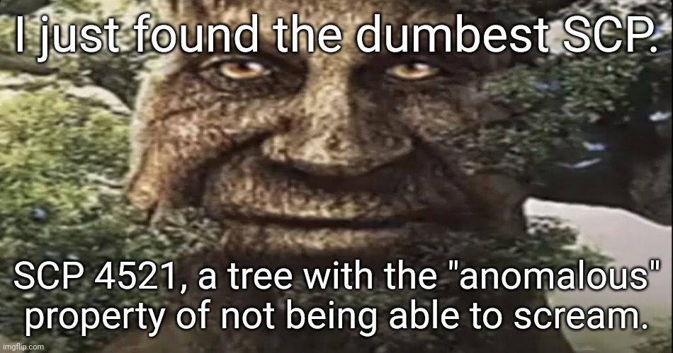 Isn't that normal??? | I just found the dumbest SCP. SCP 4521, a tree with the "anomalous" property of not being able to scream. | image tagged in wise mystical tree | made w/ Imgflip meme maker