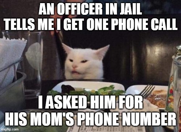 Salad cat | AN OFFICER IN JAIL TELLS ME I GET ONE PHONE CALL; I ASKED HIM FOR HIS MOM'S PHONE NUMBER | image tagged in salad cat,meme,memes,funny,jail,dank memes | made w/ Imgflip meme maker