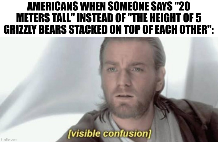 Visible Confusion | AMERICANS WHEN SOMEONE SAYS "20 METERS TALL" INSTEAD OF "THE HEIGHT OF 5 GRIZZLY BEARS STACKED ON TOP OF EACH OTHER": | image tagged in visible confusion,america | made w/ Imgflip meme maker
